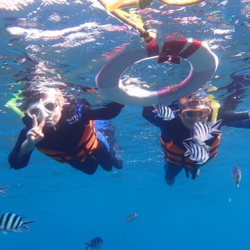 萬里桐推出全新活動─SUP立槳+浮潛體驗，趴在SUP板上，戴上浮潛的面鏡一探豐富的海底世界，而且附近都沒有任何的水上活動，享受漂泊在海面上的舒適感！不會游泳的人都可以參加，隨時都有專業的教練，歡迎喜歡大海的人一起來體驗~