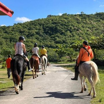 墾丁車城悠客馬場，深受網友推薦墾丁網友推薦的位於車城的專業馬術場，鄰近山林溪水，配合教練的細心帶領，可好好享受在草原漫步、奔馳、駕馭的樂趣和帥氣。