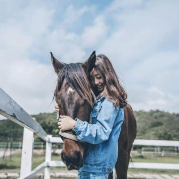 墾丁車城的悠客馬場，專業馬術教練帶您繞場一圈，途中會設立一些打卡點可與馬拍照留念，活動後還可以體驗餵食，與馬近距離相處喔！聽著噠噠的馬蹄聲，留下美麗的紀念吧~~~