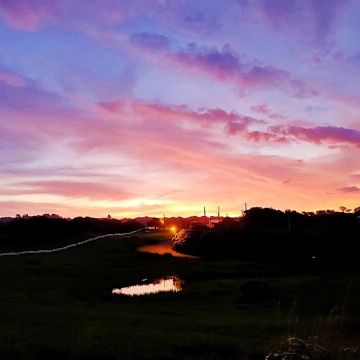 在龍磐公園可欣賞太平洋海峽的壯闊,天氣晴朗的話還可看到海面上的蘭嶼島。居民種植牧草維生,因此一望無際的大草原和牧草捲成為水蛙窟一大特色。可以放身輕躺水蛙窟青青軟軟的綠草地及牧草捲活動,任人在草原上放肆地歡樂。跟著解說員的腳步,還能在龍磐草原和水蛙窟生態池附近,不小心發現梅花鹿的蹤跡。