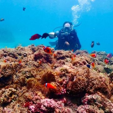 海邊浮潛位於萬里桐海灣旁，墾丁悠活渡假村旁邊，提供一個親近台灣萬里桐海底資源的一個水上活動據點，以前就聽說萬里桐是潛水浮潛勝地，不過因為更換裝備不方便，一直沒機會下水。現在就近有水上活動的據點，離海灣非常近，真的很方便下去探訪。這裡的海底資源因為沒有水上摩托車干擾，很安全也很豐富喔！