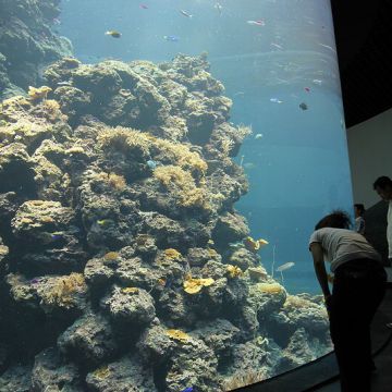 墾丁海生館門票~國立海洋生物博物館(海生館)位於後灣，是全台灣規模最大、館內魚類種類最豐富的。包含三層樓高的水族箱、海底隧道，或是可愛的企鵝、悠游自在的小白鯨與鯊魚，都讓人猶如親臨海底世界般，非常值得一遊，不僅適合家庭團體，就連大人們也能在這裡玩得十分盡興喔！