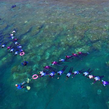 後壁湖南勇浮潛，將帶您探索台灣最美麗的生態保護區珊瑚海域，南勇浮潛～是墾丁後壁湖最推薦的水上活動業者，有合法經營，浮潛活動含保險，並有專業教練帶領，讓您體驗海底五彩繽紛的美麗世界，讓您玩的安全又開心！