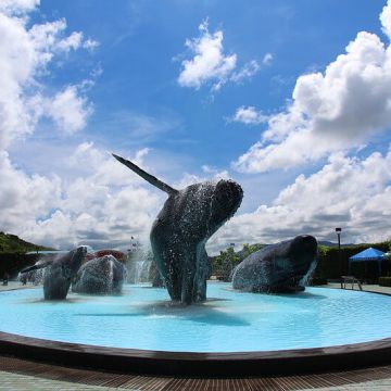 墾丁海生館門票~國立海洋生物博物館(海生館)位於後灣，是全台灣規模最大、館內魚類種類最豐富的。包含三層樓高的水族箱、海底隧道，或是可愛的企鵝、悠游自在的小白鯨與鯊魚，都讓人猶如親臨海底世界般，非常值得一遊，不僅適合家庭團體，就連大人們也能在這裡玩得十分盡興喔！