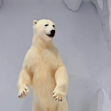 坐落於墾丁恆春鎮上的動物標本展覽館，讓您親身體驗與栩栩如生的寵物標本近距離拍攝，園內並提供許多的拍照打卡場景，讓您一秒就有如置身非洲原始叢林的感覺。