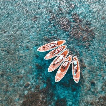 墾丁最著名的就是美麗海景，通常大家來浮潛或潛水，主要都是窺探海洋世界，所以阿飛衝浪推出南灣SUP體驗囉！在蔚藍的大海上划著SUP眺望萬里無垠的天空，多麼令人心曠神怡的海天一線啊！SUP難度不高，上手速度快，一起來體驗墾丁的碧海藍天吧！