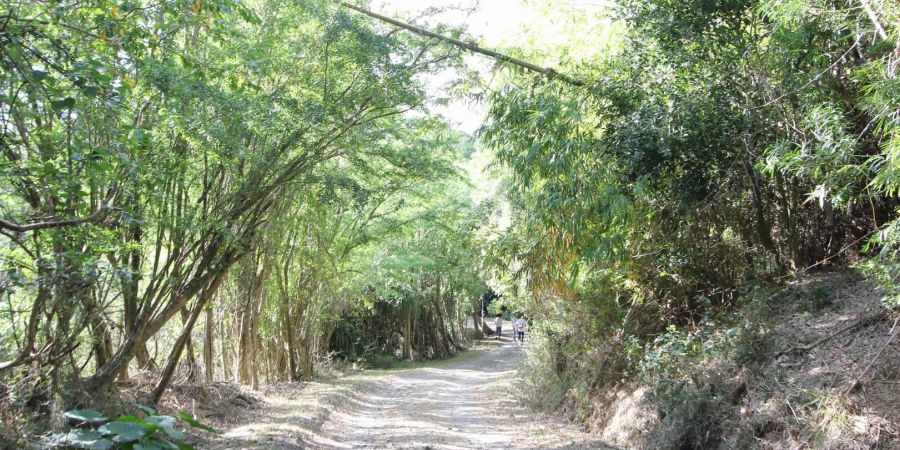 社頂公園沿途景觀