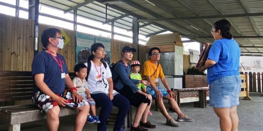 入園前，會先有梅花鹿和水豚的導覽解說