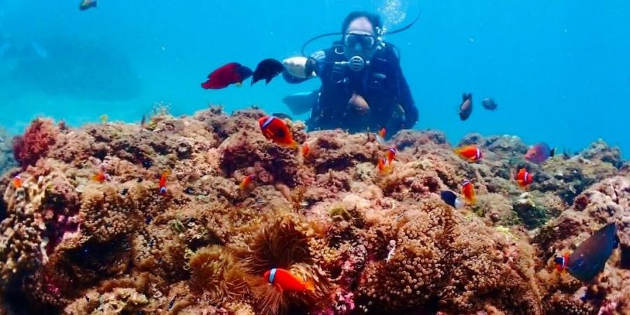 與魚同游