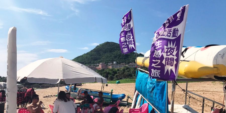 報到處有插紫色旗幟